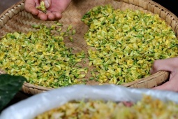 Hoa dại mỗi năm chỉ có 1 mùa, bà nội trợ săn lùng mua ăn dù giá tới 360.000 đồng/kg