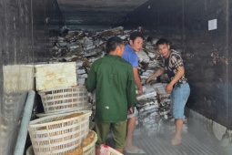 Quảng Ninh thu giữ hơn 25 tấn mực, chân gà bốc mùi