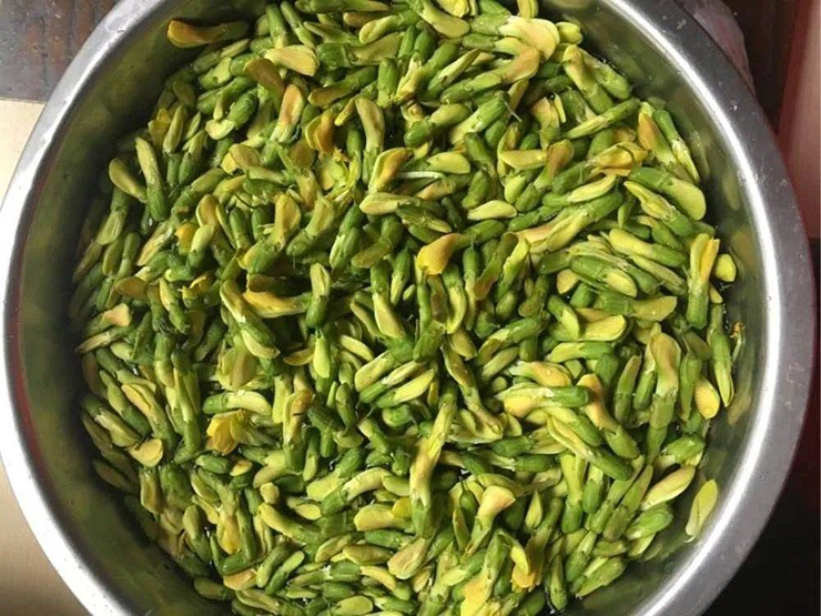 Không chỉ dùng làm thức ăn, đậu chổi còn là một loại thảo dược chữa bệnh.
