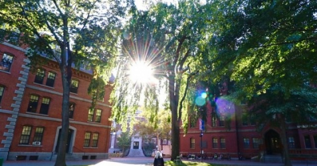 Du học sinh cần làm gì khi Mỹ có thể dừng phỏng vấn visa?