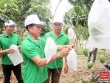 Mường La đưa cây ăn quả lên vùng đất dốc