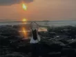 Về Hòn Yến ngắm san hô... không cần lặn