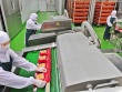 Doanh nghiệp chăn nuôi C.P. kinh doanh ra sao tại Việt Nam?