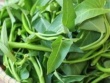 "5 không" khi ăn rau muống, biết mà tránh kẻo rước hoạ