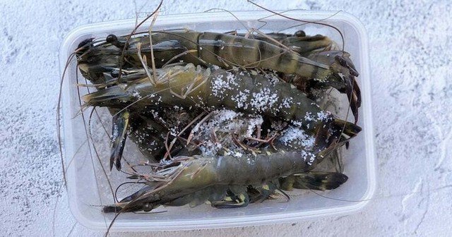 Cứ 1 lớp tôm 1 bạn rắc lên 1 lớp đường mỏng.