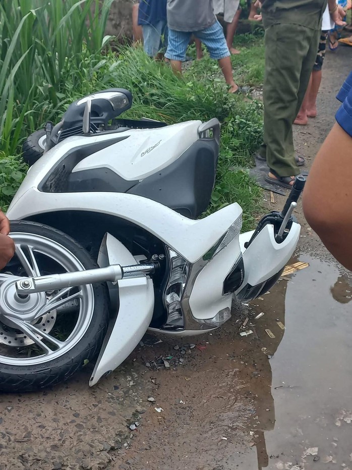 Cây phượng ngã đổ làm đứt dây điện, 2 người bị điện giật tử vong - 2