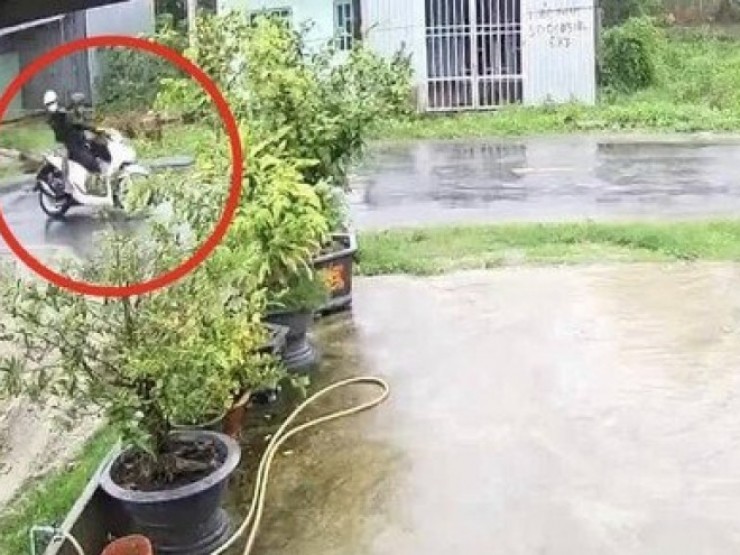 Cây phượng ngã đổ làm dứt dây điện, khiến 2 người bị điện giật tử vong