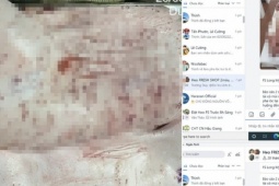 Sóc Trăng lập đoàn kiểm tra các điểm chăn nuôi, gồm C.P Việt Nam sau tố cáo trên Facebook