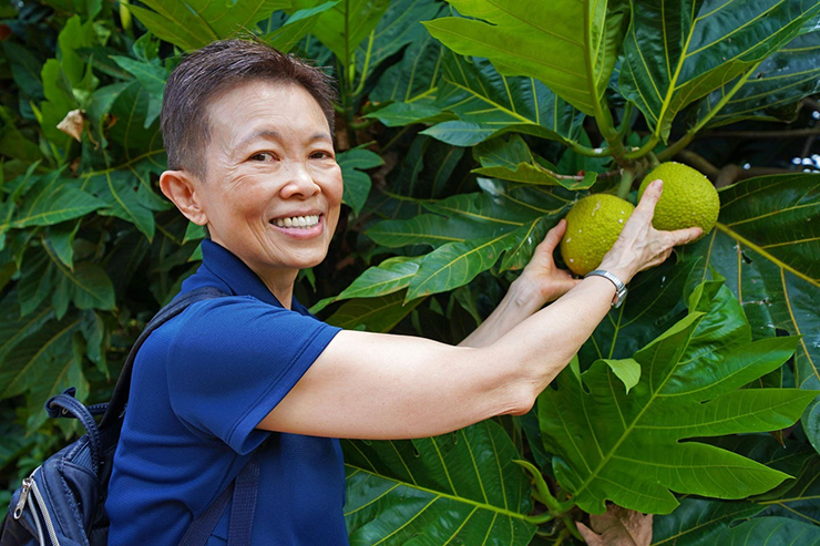 Nguồn gốc của cây sa kê là từ các đảo ở Thái Bình Dương và bán đảo Mã Lai.&nbsp;Ở nước ngoài, sa kê&nbsp;phổ biến hơn với tên gọi là&nbsp;“quả bánh mì” nhờ hàm lượng tinh bột cao.
