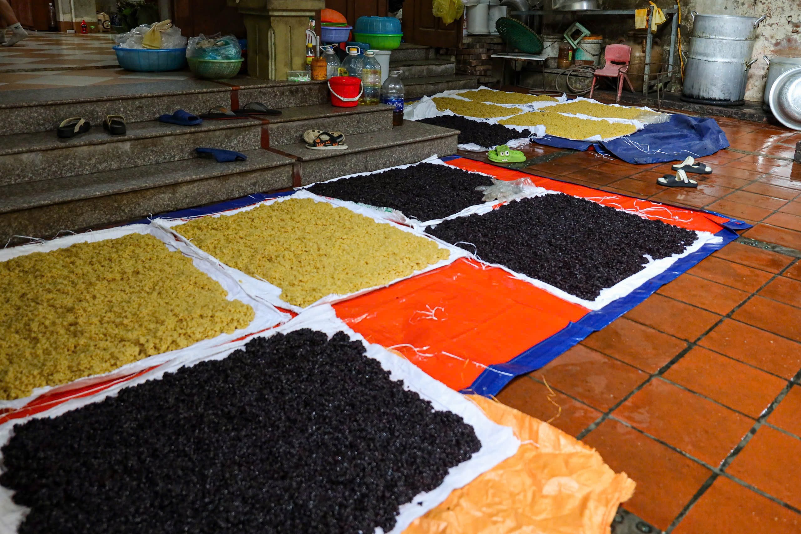 Gạo sau khi đồ sẽ được rải mỏng ra cho nhanh nguội rồi rây một lớp men lên mặt trước để ủ.