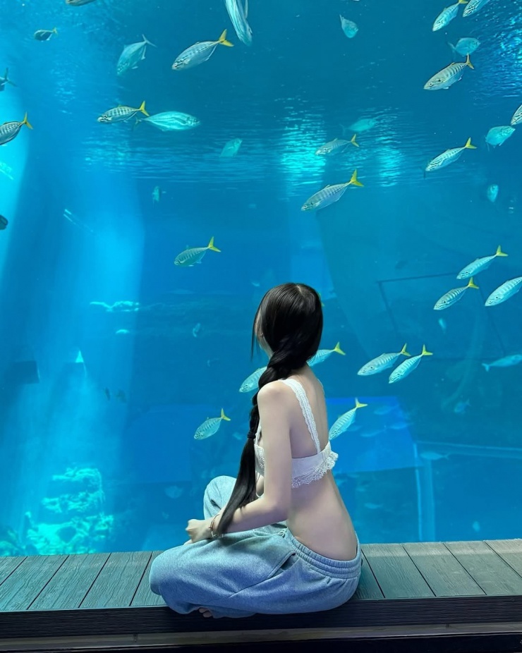 Không chọn những bộ outfit kín đáo thường thấy khi đi chơi thủy cung, cô gái này khiến dân mạng “mắt chữ A, miệng chữ O” khi mang đến sự kết hợp độc đáo giữa sexy táo bạo và năng động, thoải mái. Mái tóc tết dài dịu dàng cùng nụ cười rạng rỡ càng làm nổi bật vẻ đẹp trẻ trung nhưng đầy mê hoặc.
