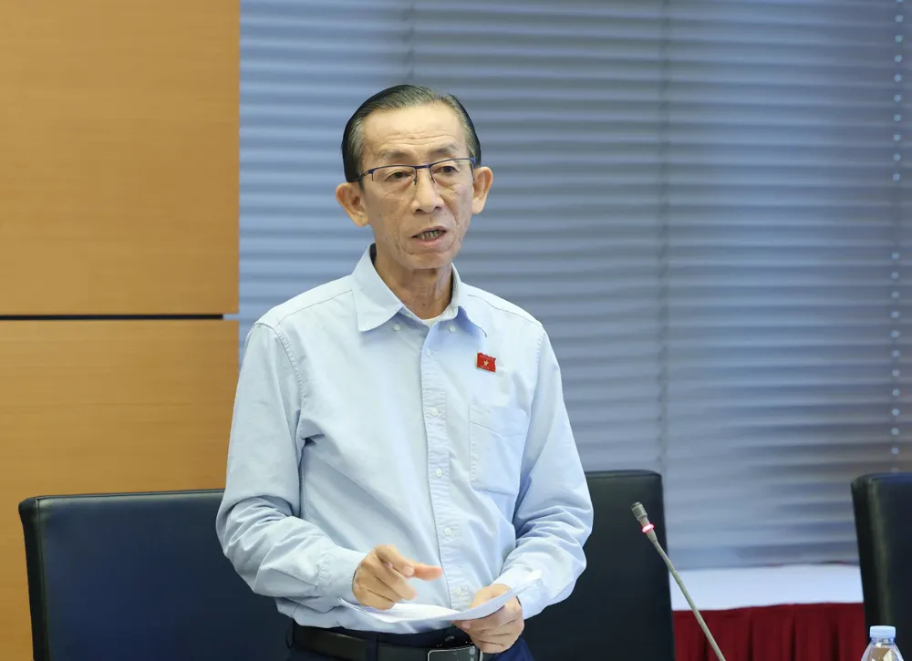 Đại biểu Trần Hoàng Ngân (TP.HCM). Ảnh: QUANG PHÚC