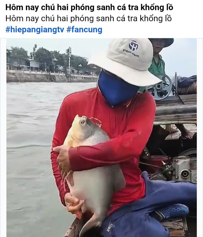 Những con cá chim trắng được thả xuống sông đã gây tranh cãi trên mạng xã hội. Ảnh: Cắt từ clip