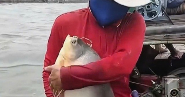 Cộng đồng mạng tranh cãi nảy lửa vụ phóng sinh ...