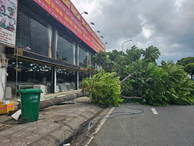Hiện trường vụ việc.