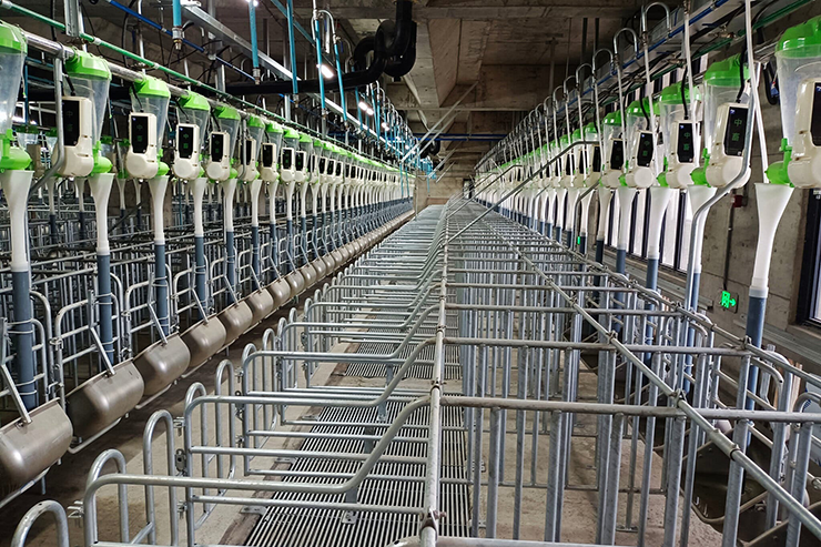 Các “căn hộ” được trang bị quạt điện, đèn, máy sưởi và sàn đá. Các phòng đều có cửa sổ lớn để thông khí và lấy sáng, có cả điều hòa và hệ thống nước nóng lạnh.
