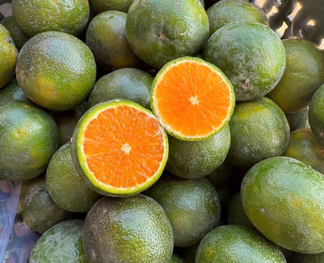 Cam sen có màu vàng cam. Ảnh: Lê Dương.