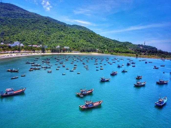 Ảnh minh họa