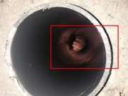 Tin tức trong ngày - 20 phút giải cứu cháu bé 8 tuổi kẹt tay trong đường ống hút nước áp lực cao