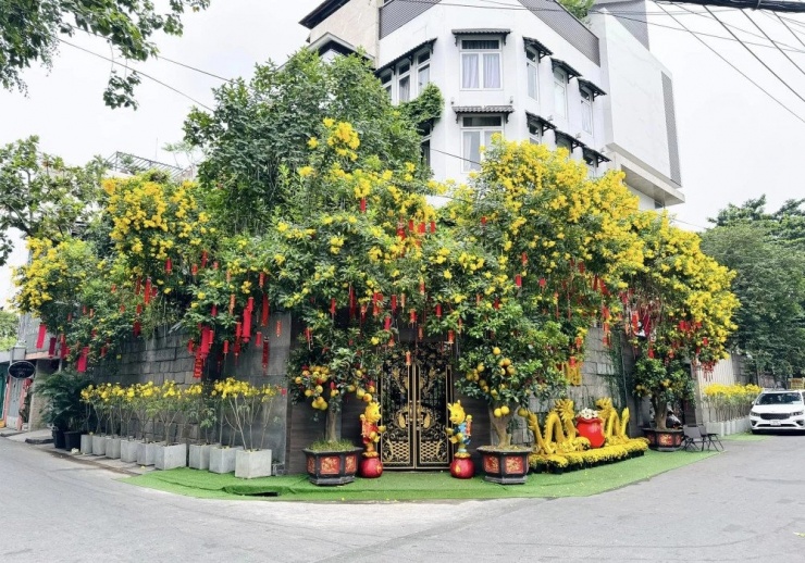 Biệt thự triệu đô ở quận 10 của Đàm Vĩnh Hưng nhìn từ bên ngoài.&nbsp;