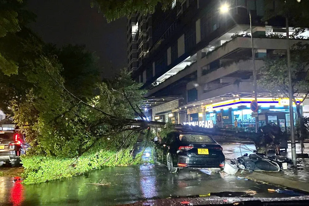 Hiện trường vụ cây xanh ngã đổ đè trúng xe ô tô và xe máy ở quận Bình Thạnh. Ảnh: PH