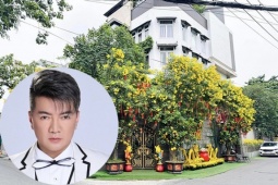 Đàm Vĩnh Hưng rao bán biệt thự triệu đô, tiết lộ lý do bất ngờ