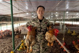 Bỏ phố về làng nuôi gà,  tay ngang  9x kiếm cả trăm triệu đồng, sống thảnh thơi ở quê