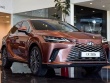 Ảnh thực tế Lexus RX 350h 2025 tại đại lý, giá từ 3,5 tỷ đồng