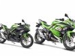 Kawasaki Ninja 300 2025 trình làng: Diện mạo "chanh xả", giá vẫn giữ nguyên!