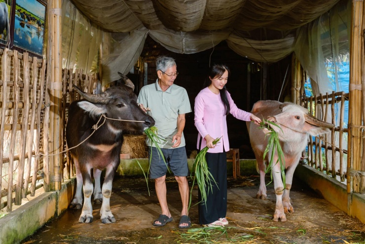 Cồn Sơn vào mùa, đi ăn trái cây, xem ếch, cá lóc nhảy vòng - 12