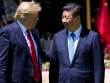 Nhà Trắng: Ông Trump và ông Tập có thể điện đàm tuần này