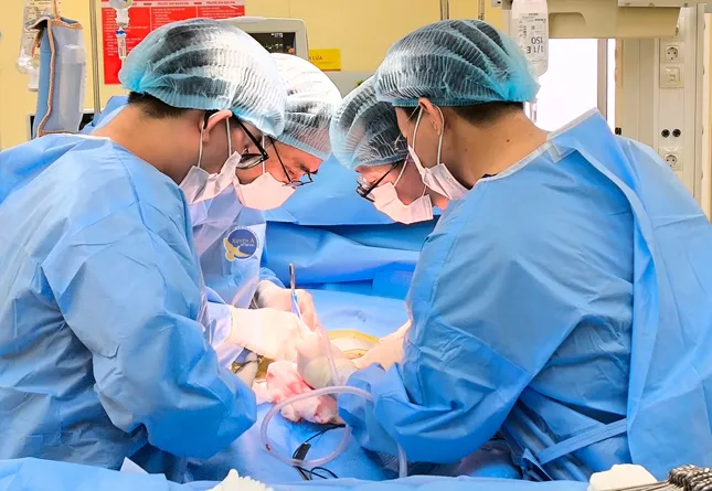 Các bác sĩ đã thực hiện cuộc phẫu thuật lấy thận từ người mẹ ghép vào cơ thể cô gái trẻ