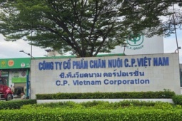 Công ty C.P. Việt Nam từng bị UBND tỉnh Đồng Nai xử phạt gần 800 triệu đồng
