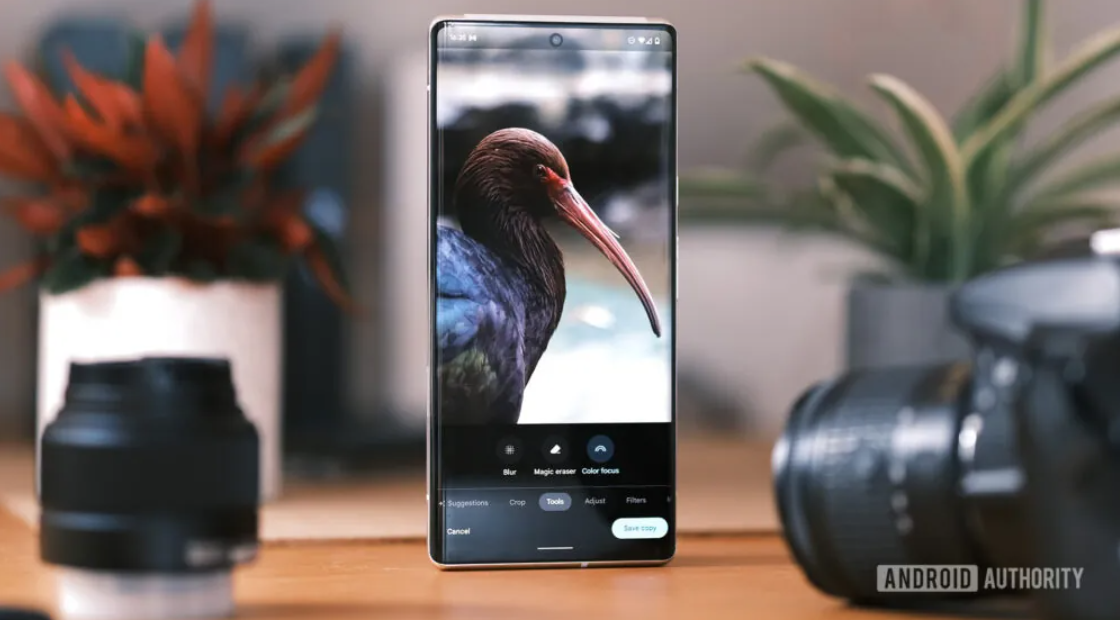 Google Pixel 6 Pro.