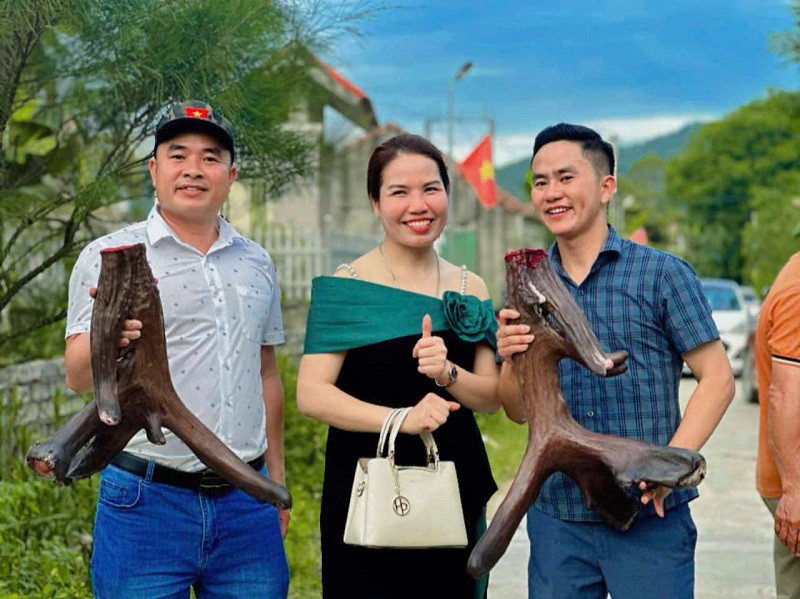Cũng&nbsp;tại buổi cắt nhung, một số người đã ngỏ ý muốn mua lại con nai này với giá 1 tỷ đồng nhưng anh Sinh không bán.