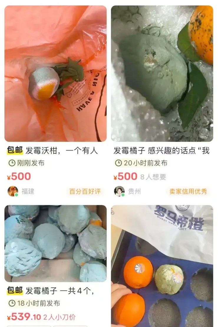 Thứ người Việt vứt đi, bán ở đây lại “hái ra tiền” - 2