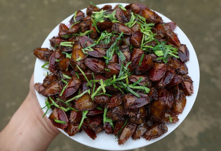 3 món ăn khiến khách &#39;sợ xanh mặt&#39; nhưng nổi tiếng ngon lạ ở miền Bắc - 6