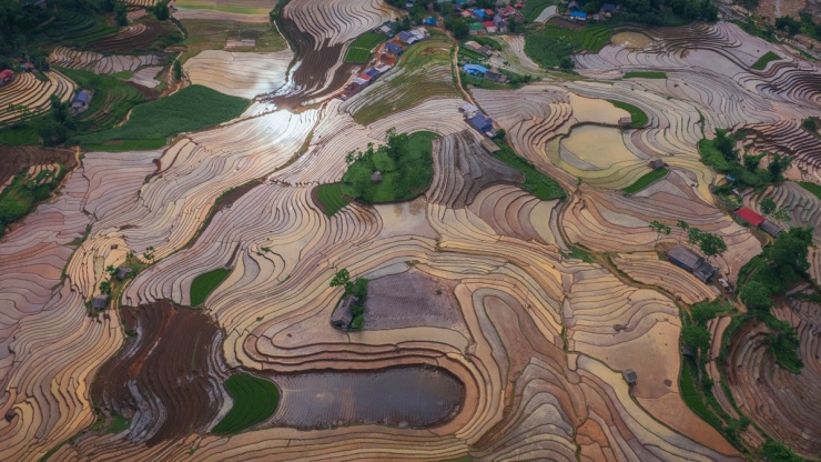 Ruộng bậc thang Y Tý mùa nước đổ - 1