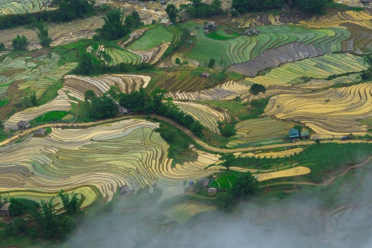 Ruộng bậc thang Y Tý mùa nước đổ - 5