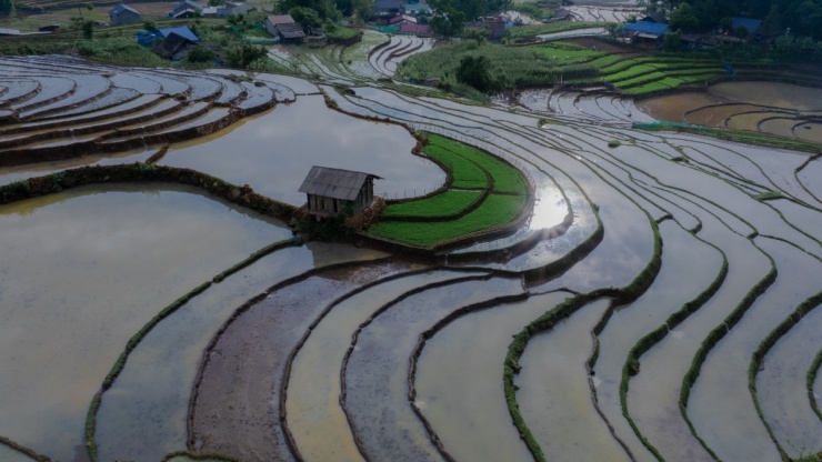 Ruộng bậc thang Y Tý mùa nước đổ - 4