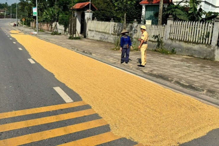 Phơi rơm trên đường, 