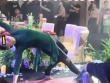 Mẹ biểu diễn yoga trong đám cưới con trai, quan khách ái ngại