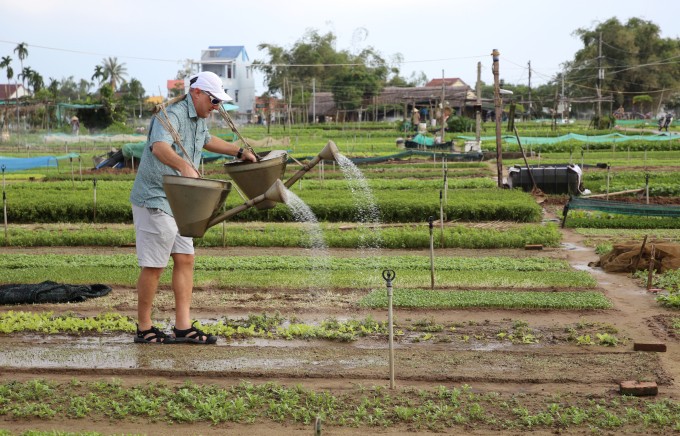 Việt Nam trong top 5 điểm khách châu Âu thích nhất hè - 1
