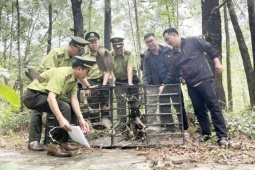 Mang chim đi cà phê phải chứng minh nguồn gốc: Kết quả sau gần 1 tháng triển khai