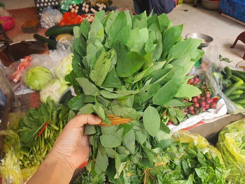 Rau ngót có giá chỉ 7.000 đồng nhưng lại chứa lượng sắt gấp 7 lần thịt bò.