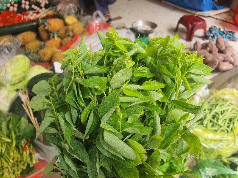 Rau ngót có lượng sắt gấp 7 lần thịt bò nhưng giá lại "siêu rẻ".