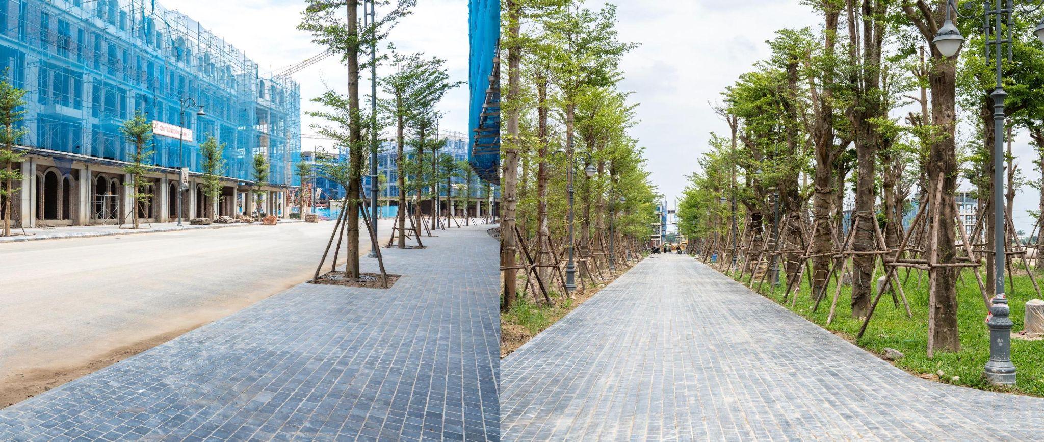 Dự án hàng hiệu Noble Palace Tay Thang Long tăng tốc triển khai, sẵn sàng bàn giao từ quý 3/2025 - 4