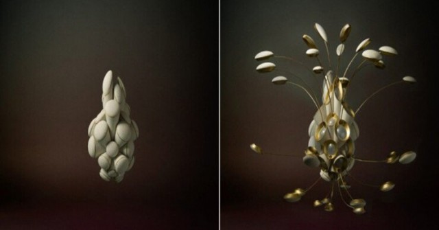 Dự án phóng vườn vũ trụ bay quanh Trái Đất