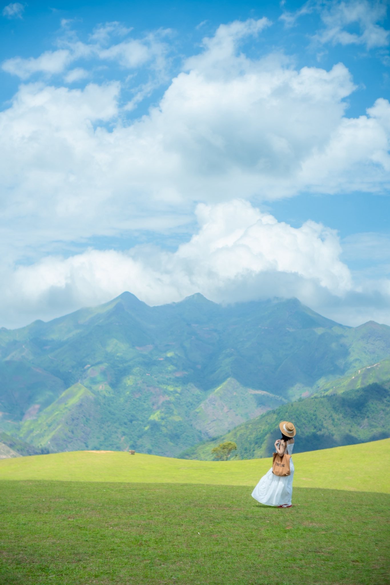 Địa điểm ‘trốn nóng’ xanh mướt, ngắm mây vờn thung lũng, cách Hà Nội 250km - 3
