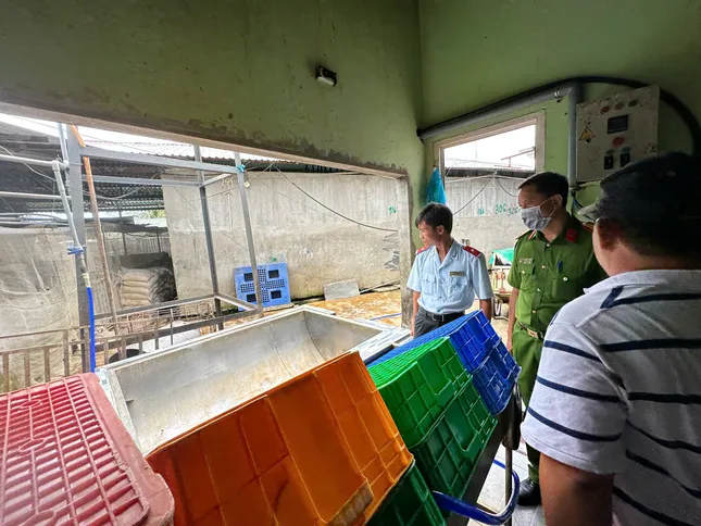 Đoàn công tác kiểm tra cơ sở giết mổ tại Hậu Giang.